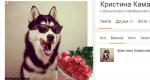 Yandex-д Odnoklassniki нийгмийн нэвтрэлт